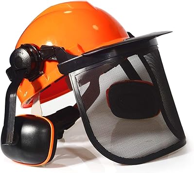 forestry hard hat