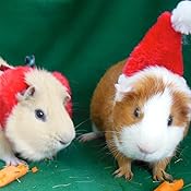 Farmacie milano viagra senza ricetta