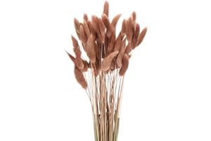 MECCANIXITY 60pcs Natural Rabbit Bunny Tails Dried Flowers 17" Mini Pampas Grass Lagurus Ovatus Bunch for Floral Wedding Deco