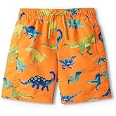 Hatley Boys Boys Swim Board Shorts
