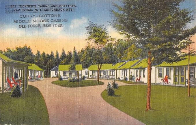 Old Froge New York Tickners Cabins Street View Antique Postcard