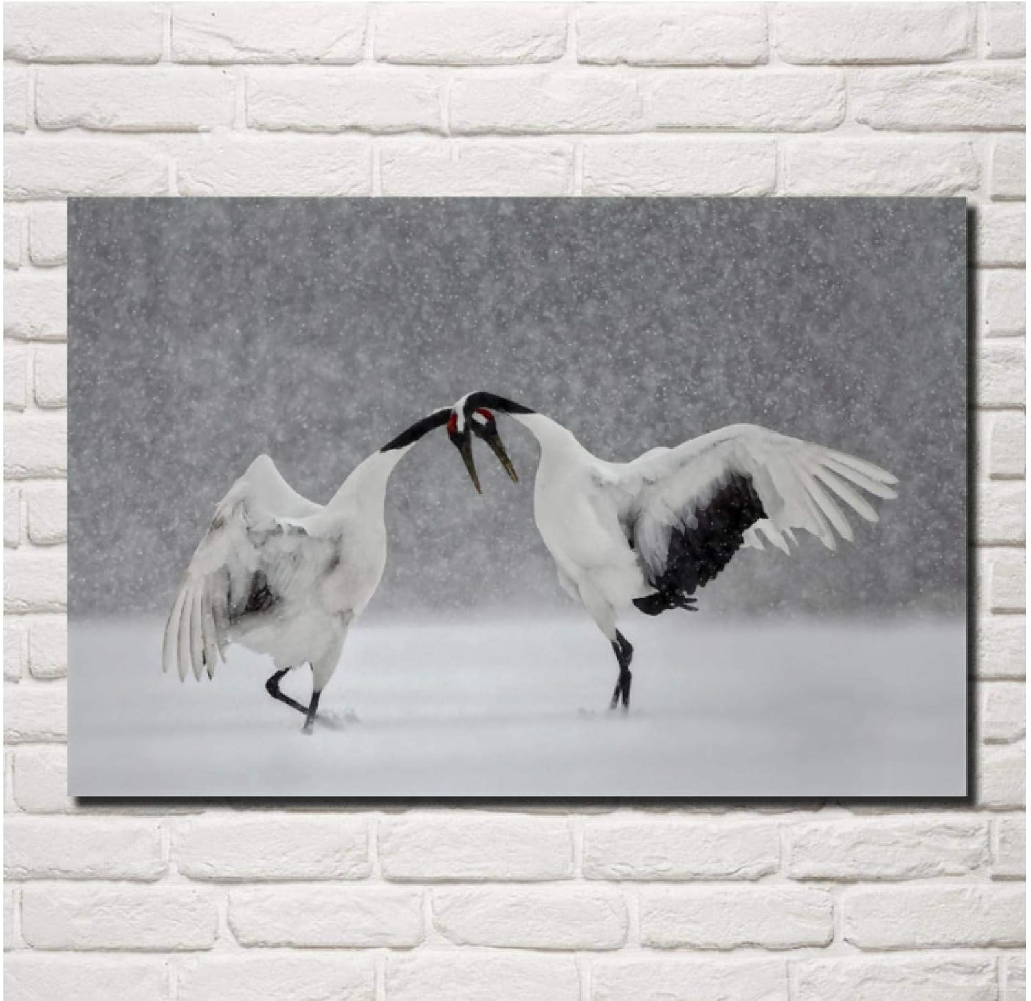 Amazon クレーンバードダンス冬の雪北海道美しい自然ウォールアートポスターキャンバスプリントリビングルーム家の装飾 50x70cmフレームなし ウォールステッカー オンライン通販