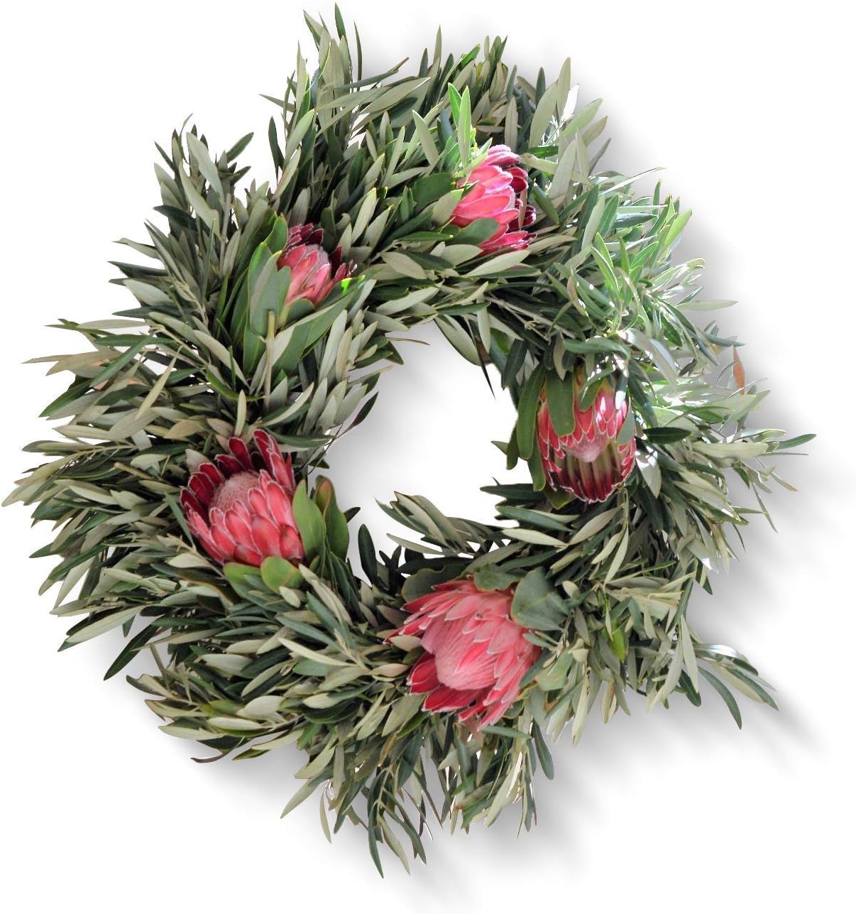 Queen Protea and Olive Wreath - 18 inch