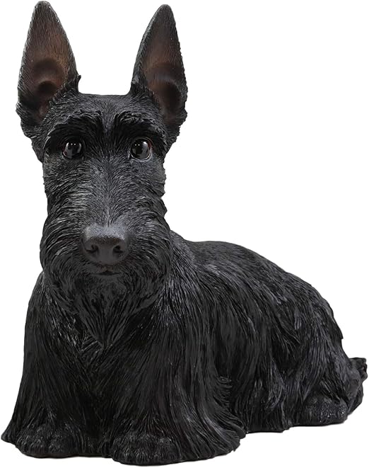 Amazon Com Ebros Adorable Large Lifelike Realistic Black