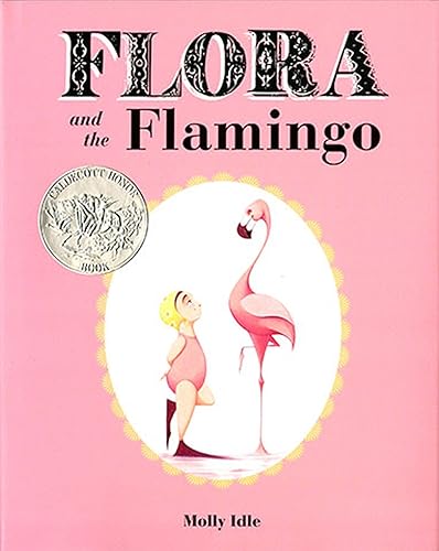 Download Flora and the Flamingo PDF