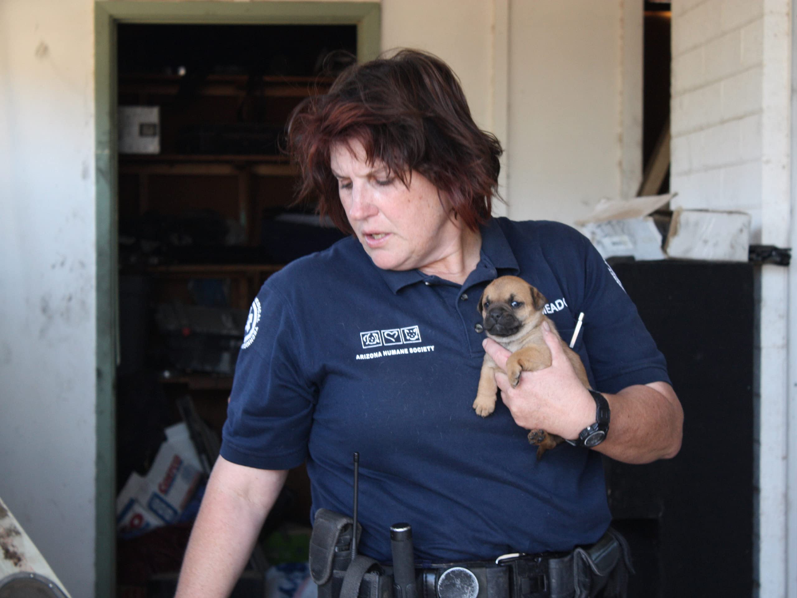 Watch Animal Cops Phoenix Season 4 Prime Video