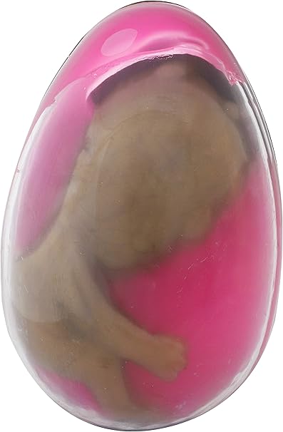 alien toy egg
