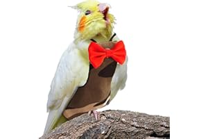 XQIGI Bird Diaper Washable Reusable Parrot Flight Suit Nappies Protective Breathable Parrot Nappy Clothes for Parakeet, Macaw, Budgie, Canary, Cockatiel (Camouflage, Small)