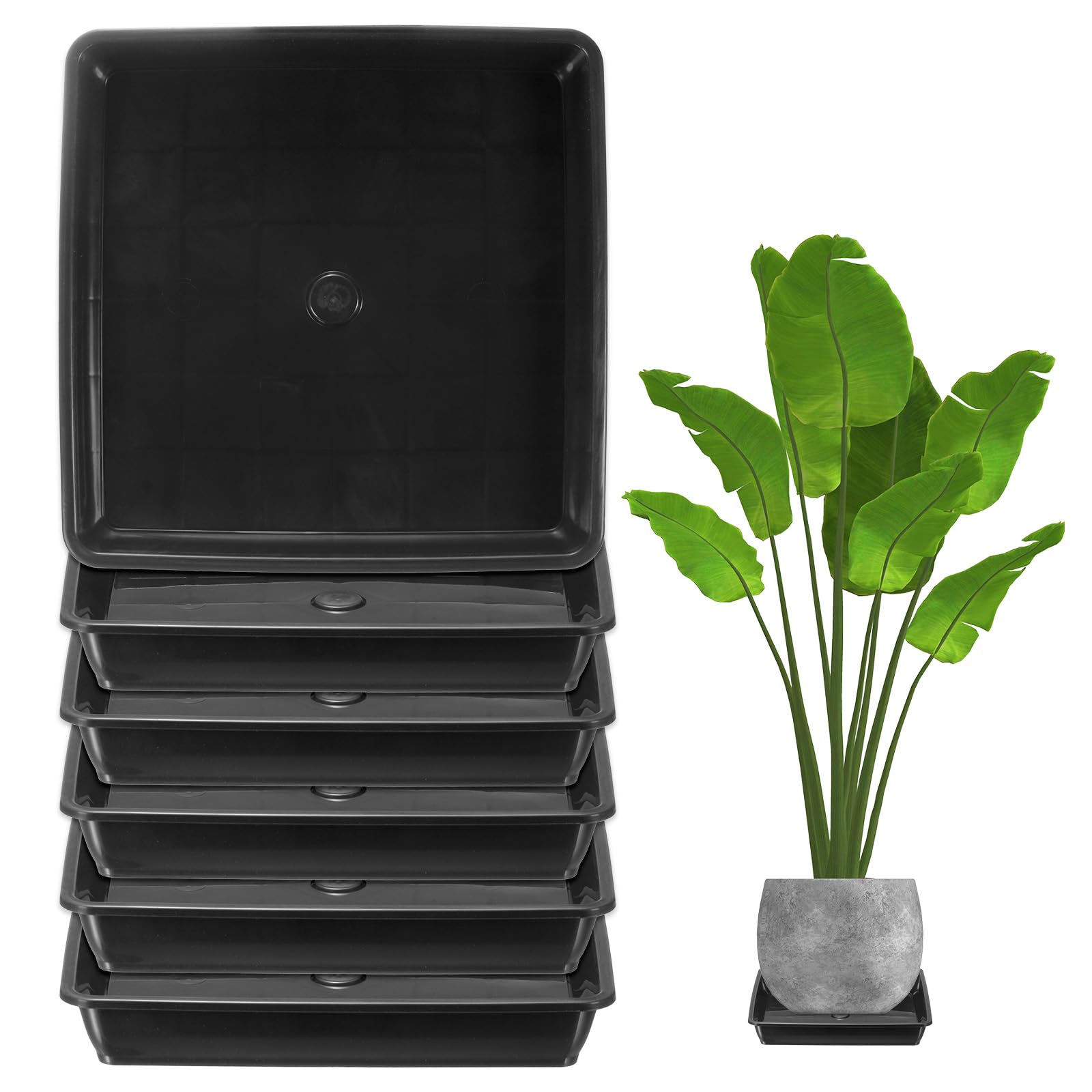 M METERXITY 6-Pack Plant Pot Saucers, 6 Inch 15cm Plastic Square Flower Drip Tray, Pot No Holes Durable Plant Trays for Pots Base Indoors/Outdoors Plants [Black]