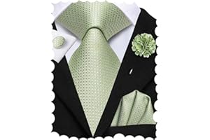 Hi-Tie Ties for Men Tie and Lapel Pin Set Paisley Stripe Necktie Handkerchief Cufflink Wedding Party