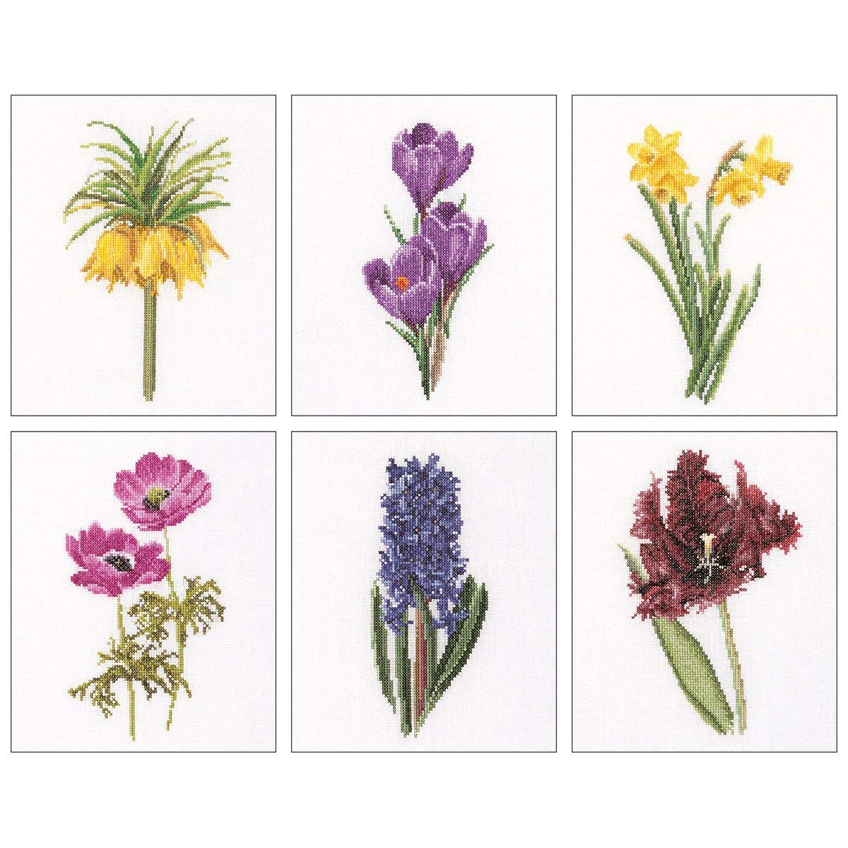 Thea Gouverneur Floral Studies 3 On Aida Counted Cross Stitch Kit-6.75-inch x 8-inch 18 Count (Set of 6)