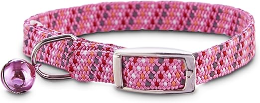 bond & co kitten collar