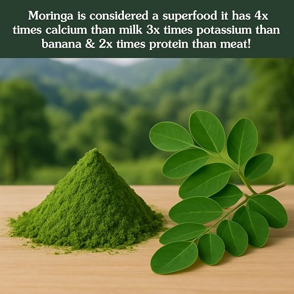 ANCIENT ROOTS MORINGA POWDER 100% PURE & NATURAL, NON-GMO, GLUTEN-FREE FINELY GROUND MORINGA LEAF FOR SMOOTHIES, TEAS, AND RECIPES 10.5 OZ RESEALABLE BAG