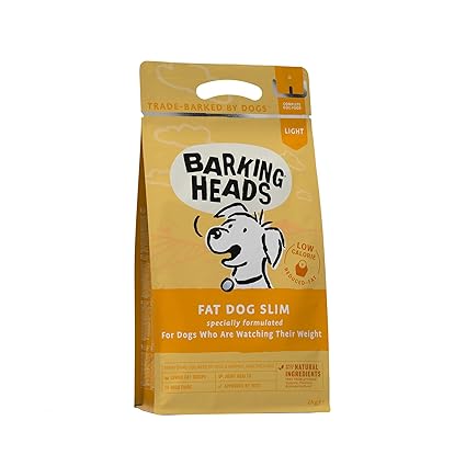 143rd westminster dog show