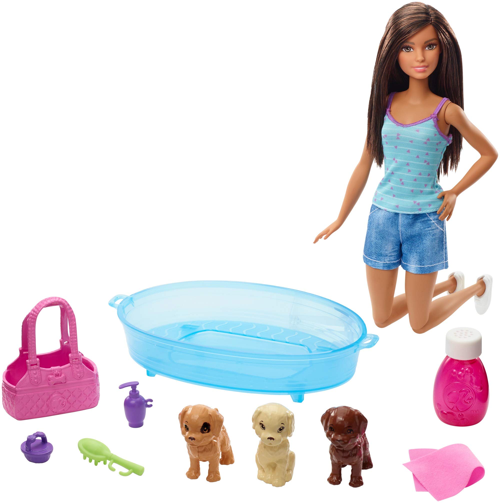 Barbie Doll and Accessories
