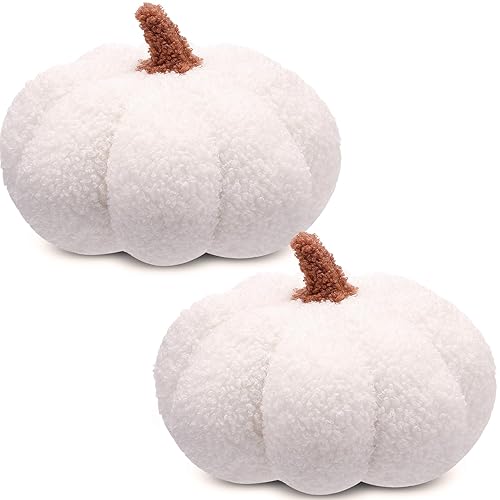 Meng Jiaran 2 Pcs Pumpkin Throw Pillows, 3D Halloween Pumpkin Cushion, 20cm Soft Plush Sofa Pillows Stuffed Pumpkins Decoration for Fall Winter Halloween Thanksgiving,White