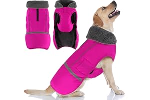 Doglay Dog Coat, Waterproof Dog Jacket Pet Winter Coat for Cold Weather with Thicken Furry Collar, Reflective Puppy Winter Jacket Warm Fleece Lining for Small Medium Large Pets