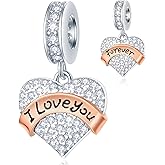 GEMDAZZ Family Theme Charm, 925 Sterling Silver Mother Father Daughter Son Sister Nana Wife Husband Grandma Friend Godmother Goddaughter Clear Pave Heart Pendant Beads, fit European Women Bracelet