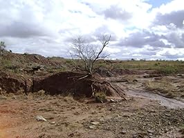 An image posted by the author.