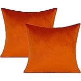 Burnt Orange Fall Throw Pillow Covers 18x18 Decorative Outdoor Thanksgiving Autumn Couch Rust Velvet Decor Cushion Cases Home Decoration for Porch Patio Sofa Bedroom Car Set of 2