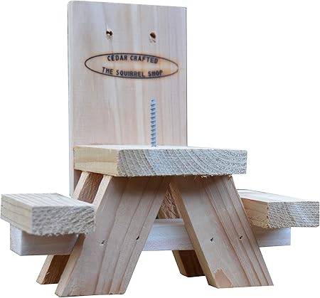 Amazon Com Picnic Table Squirrel Feeder Garden Outdoor