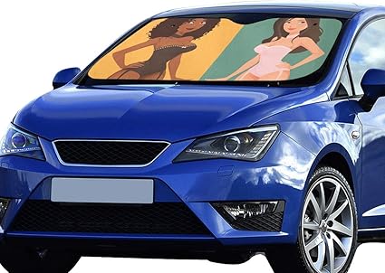 Unique car sun shades Clearance