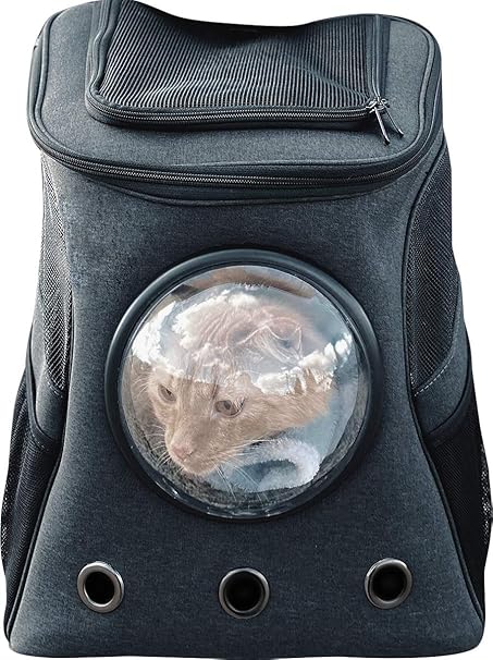 fat cat backpack canada