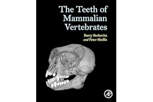 The Teeth of Mammalian Vertebrates