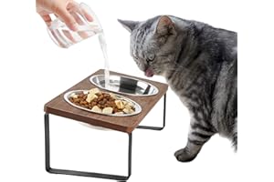 Sunhoo Cat Food Bowl Raised Cats Bowls Elevated Tilted Puppy Dish 5.7 inch Anti-Vomiting Pet Bowl Stand Lifted Double Stainless Steel Dishes Whisker Relief Kitty Feeder with 15°Angled