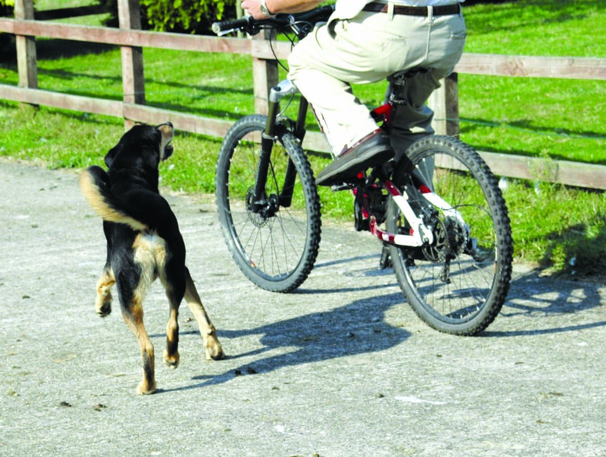 pet corrector canadian tire