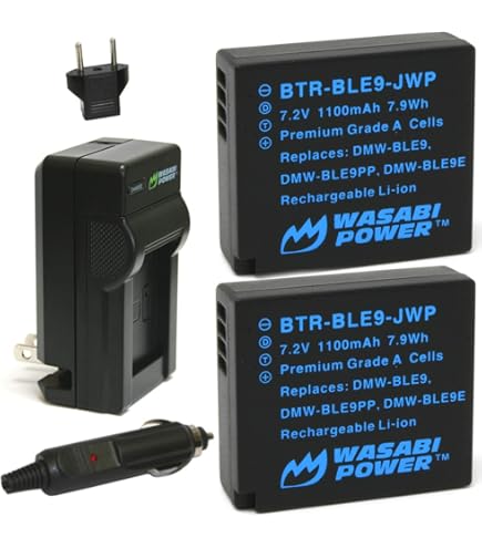 Amazon.com: Wasabi Power Battery (3-Pack) & Charger for Panasonic