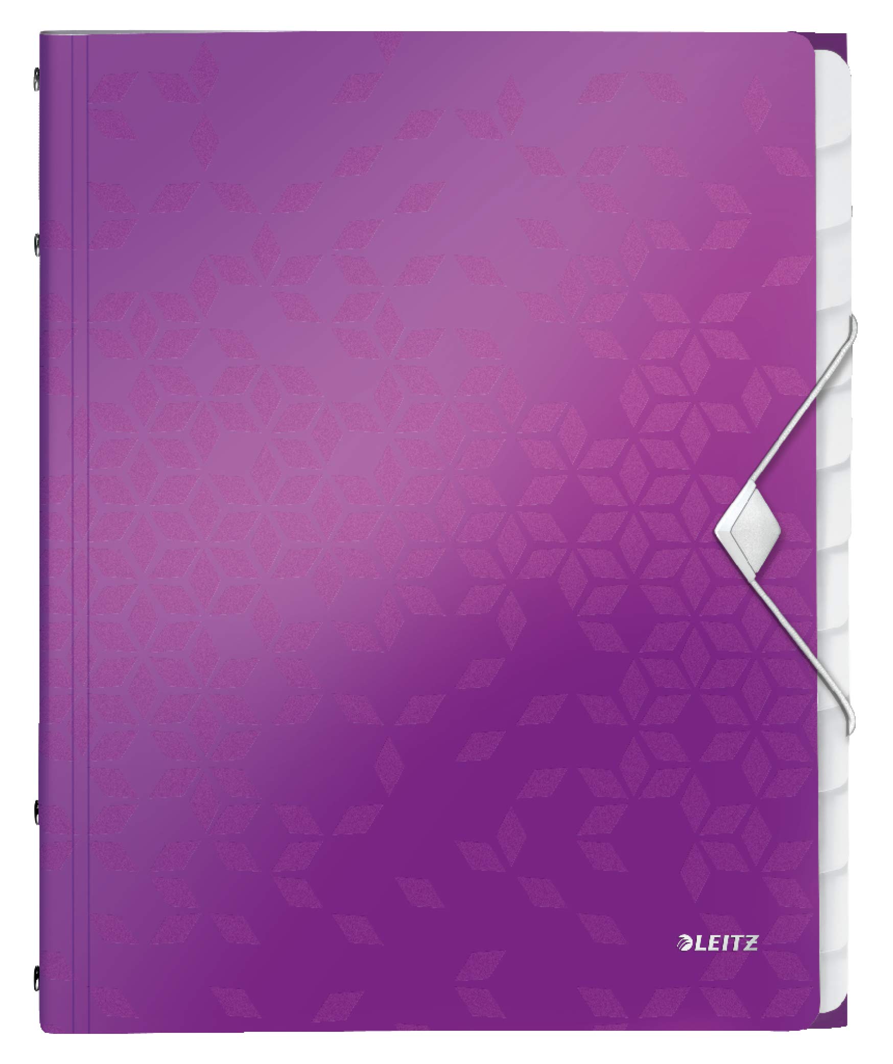 Leitz A4 Divider Book, Holds Up to 200 Sheets, Integrated Index with 12 Compartments, Elastic Closure, Metallic Purple, WOW Range, 46340062