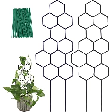 Amazon Best Sellers: Best Garden Trellises