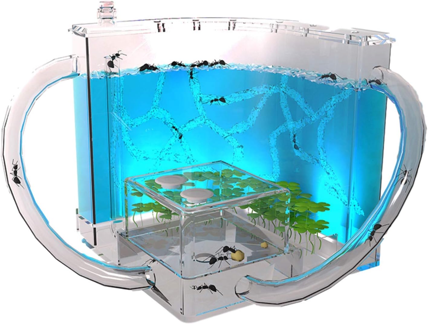 EveryWell Light-up Ant Farm, Educational & Learning Nature Science Kit with Eatable Clear Colorful Gel Nutrition, Study Behavior of Ants & Ecosystem(Live Ants Not Included) (Blue)