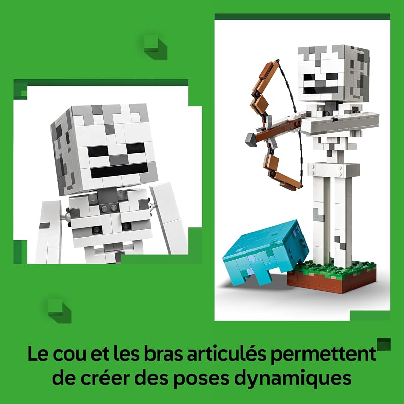 Minecraft Le Squelette 21594