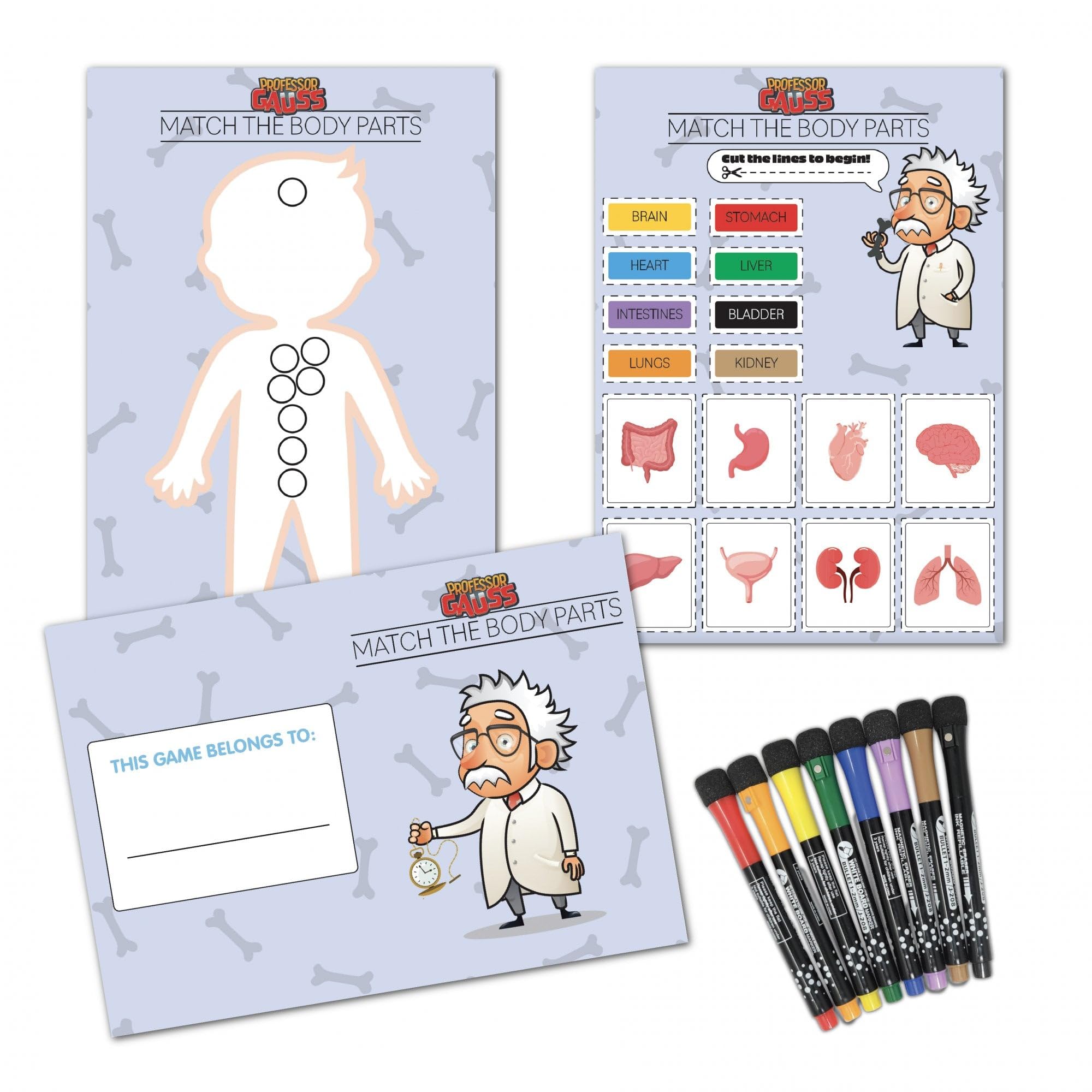 Professor Gauss™ Key Stage 2 Printed Magnet Game - Body Parts - Magnetic A3 Sheet for Fridge, Whiteboard or Office