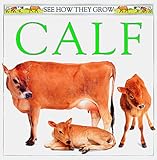Calf (See How They Grow)