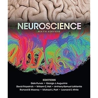 Amazon Best Sellers: Best Neuroscience