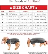 BellyGuard Dog Recovery Onesie Large Grey Cone Alternative After Surgery view 3