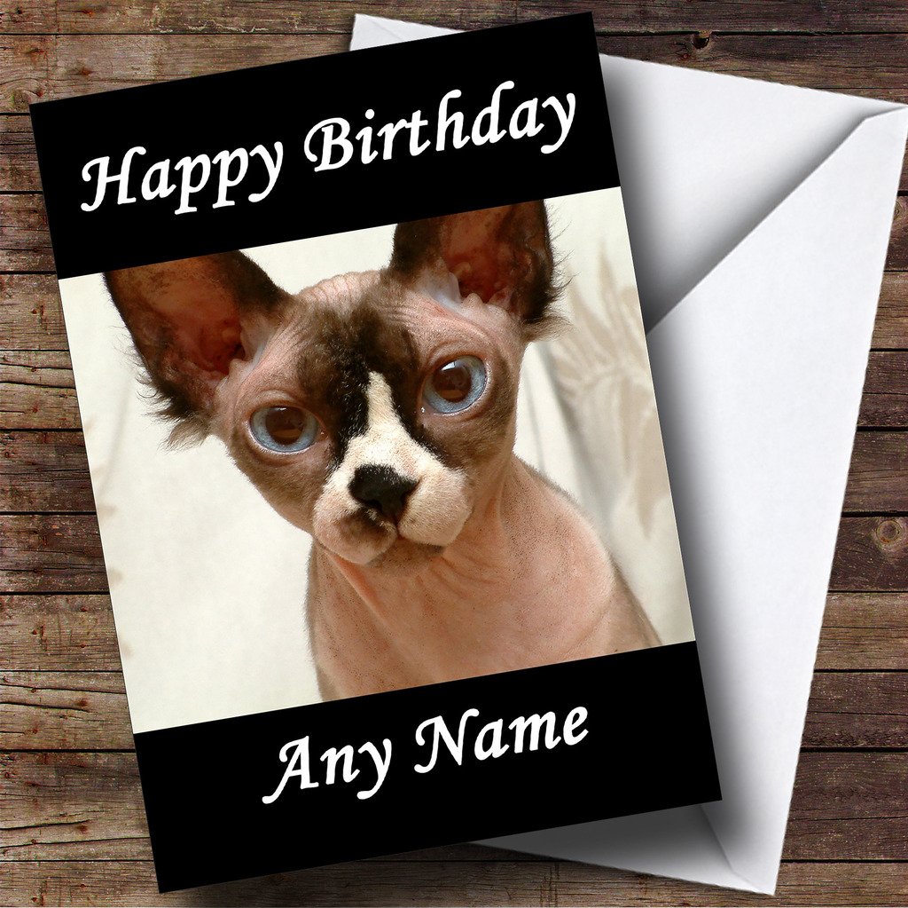 Hairless Cat Happy Birthday Best Cat Wallpaper