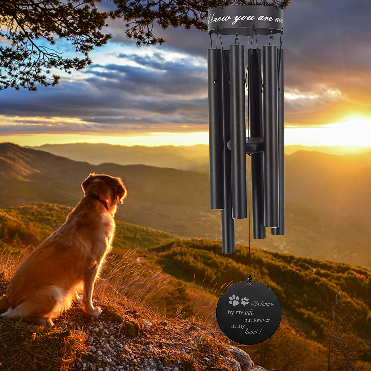 Astarin Pet Memorial Wind Chime, 30 Inches Paw Print Pet Remembrance Gift to Honor and Remember a Dog, Cat, or Other Pet, Premium Metal Wind Chime, Black