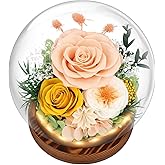 Preserved Flowers Valentines Day Gifts, Gifts for Her, Mom Wife Grandma Girlfriend, Fresh Flowers for Delivery Prime, Real Eternal Rose for Christmas, Birthday, Anniversary, Champagne