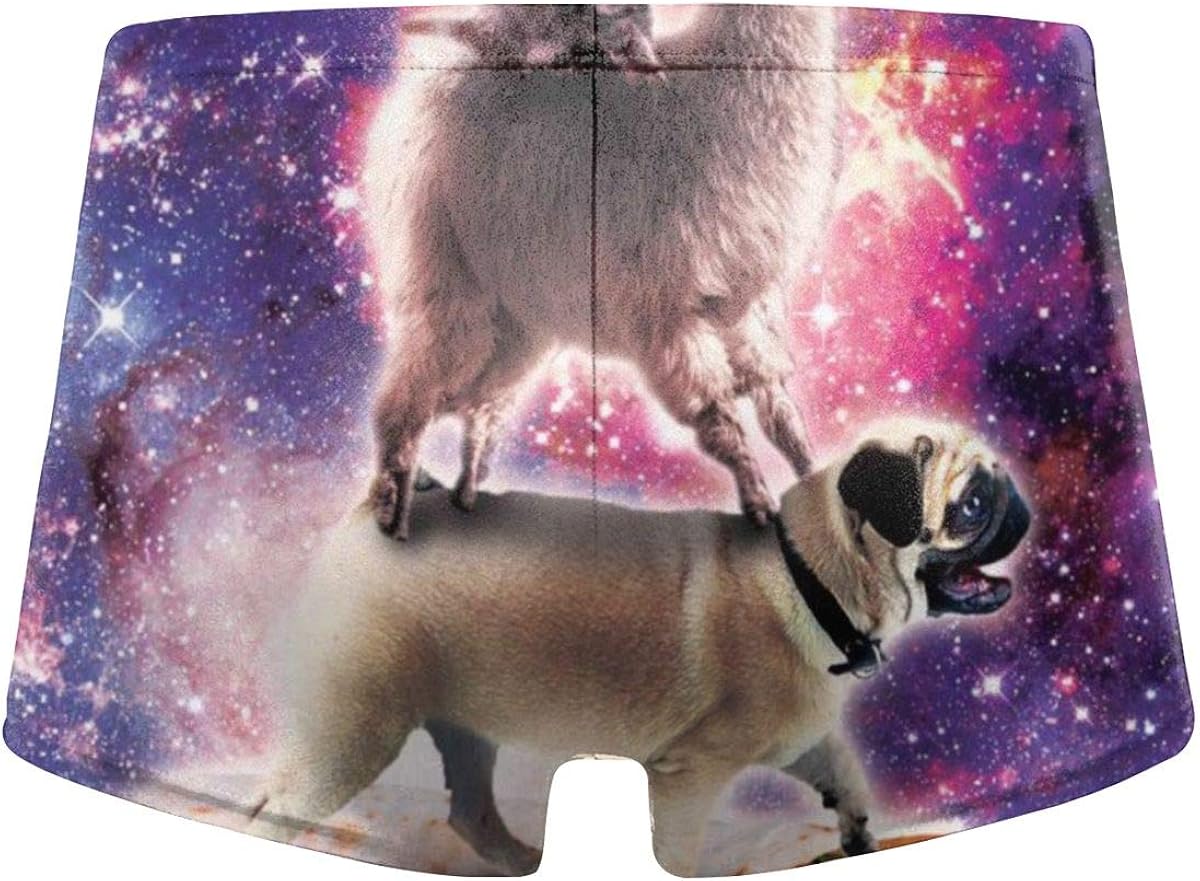 pugs in bathing suits