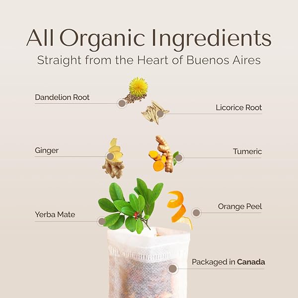 PALERMO ORGANIC YERBA MATE TEA BAGS 50 COUNT – HONEY CITRUS MATE INFUSED WITH GINGER & TURMERIC, ENERGIZING ZESTY FLAVOR, NATURAL HONEY SWEETNESS, RICH IN ANTIOXIDANTS, UNSMOKED, VEGAN, GLUTEN-FREE