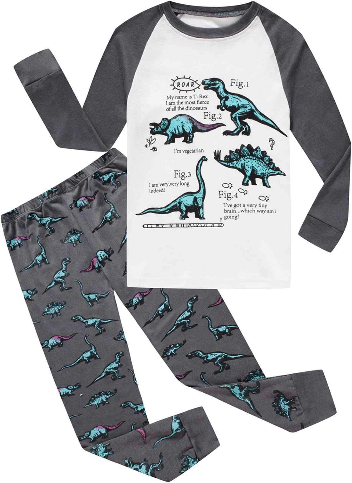 Boys Pajamas Long Sleeve Toddler Clothes Set Dinosaur 100% Cotton Little Kids Pjs Sleepwear …