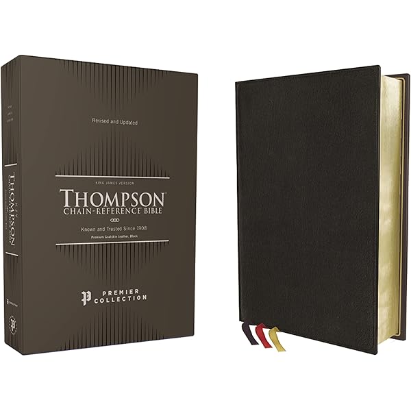 NRSV, Single-Column Reference Bible, Premium Goatskin Leather