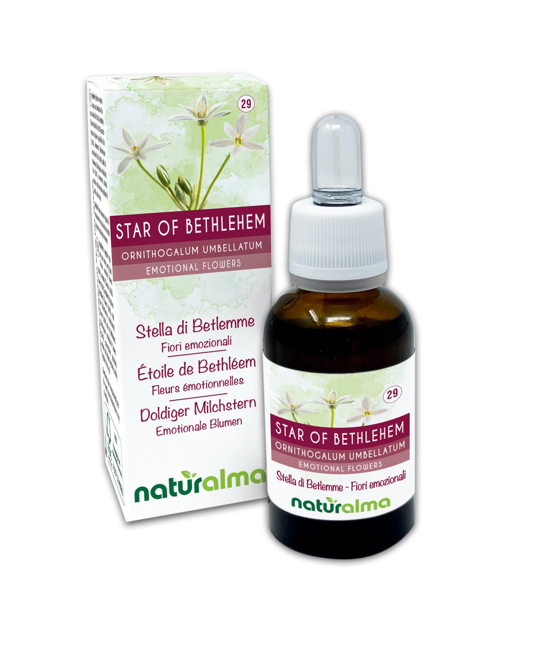Star of Bethlehem (Ornithogalum umbellatum) Naturalma Emotional Flowers or Bach Flowers - Drops 30 ml - Alcohol-Free Liquid Extract - Flower essences - Vegan and Without Alcohol