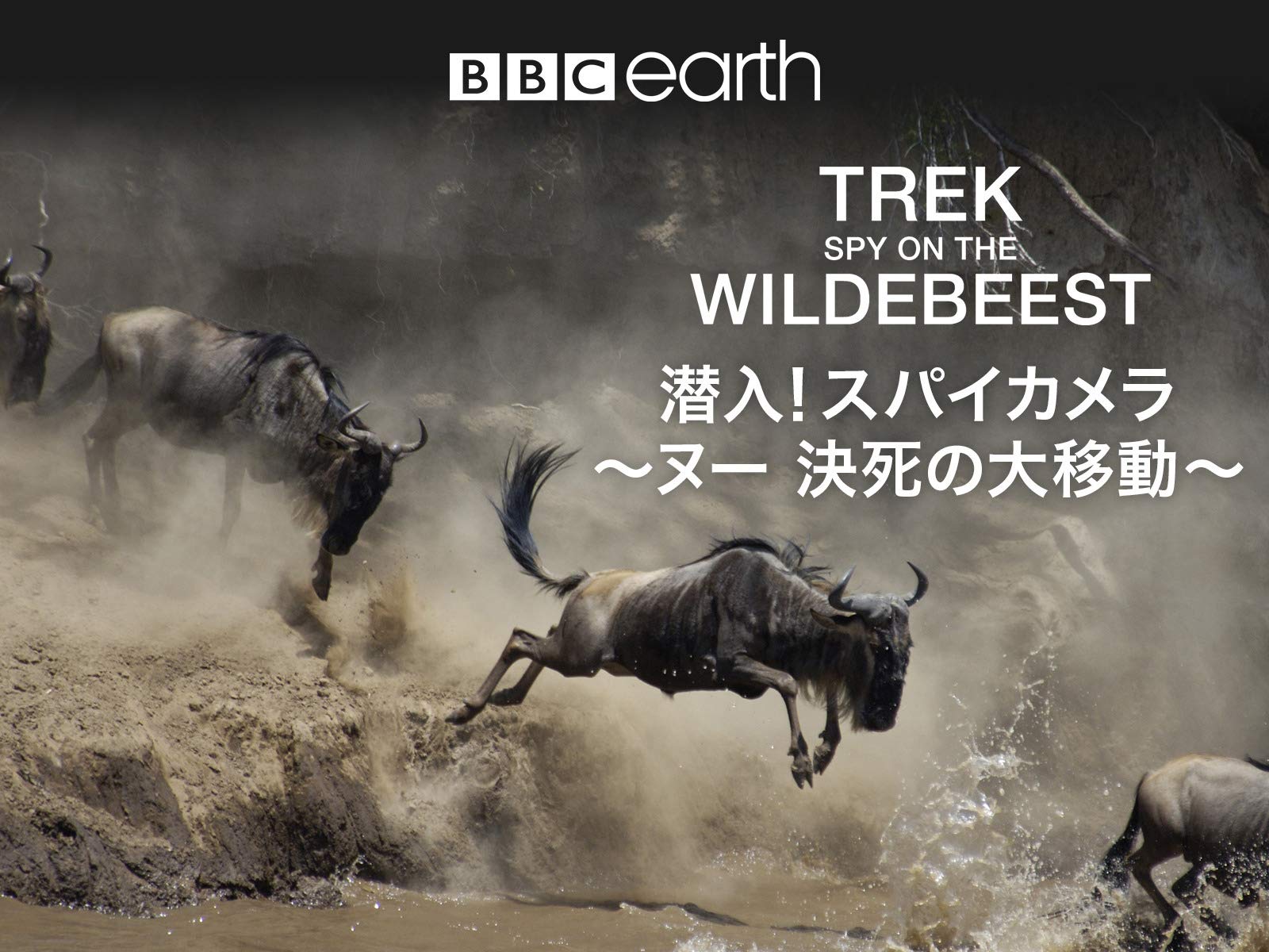 Amazon Co Jp 潜入 スパイカメラ ペンギン 極限の親子愛 字幕版 を観る Prime Video