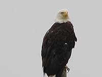 Review Image by Katlin V. Katlin V.