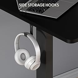 FLEXISPOT Standing Desk Electric Height Adjustable